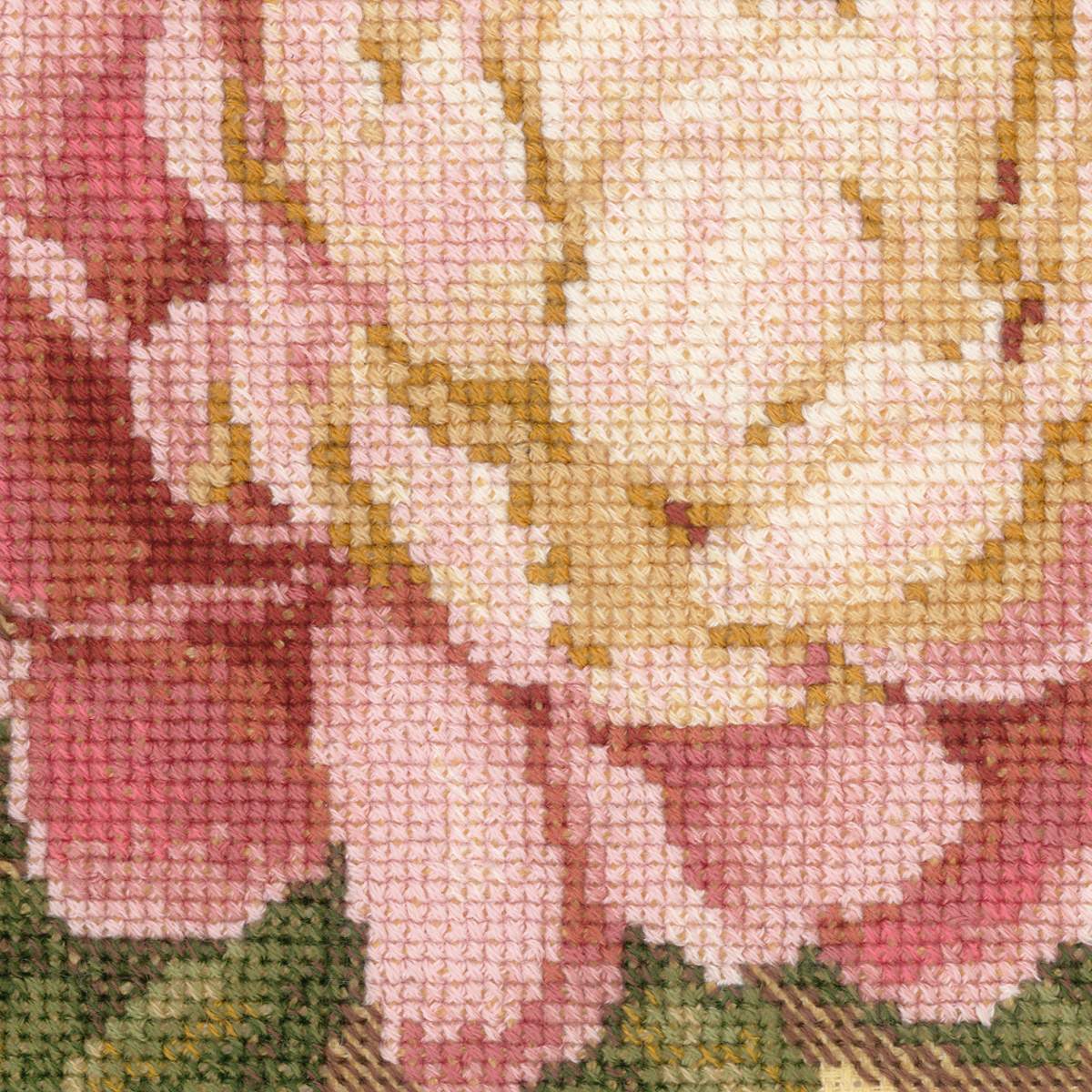 Peony (view 5)