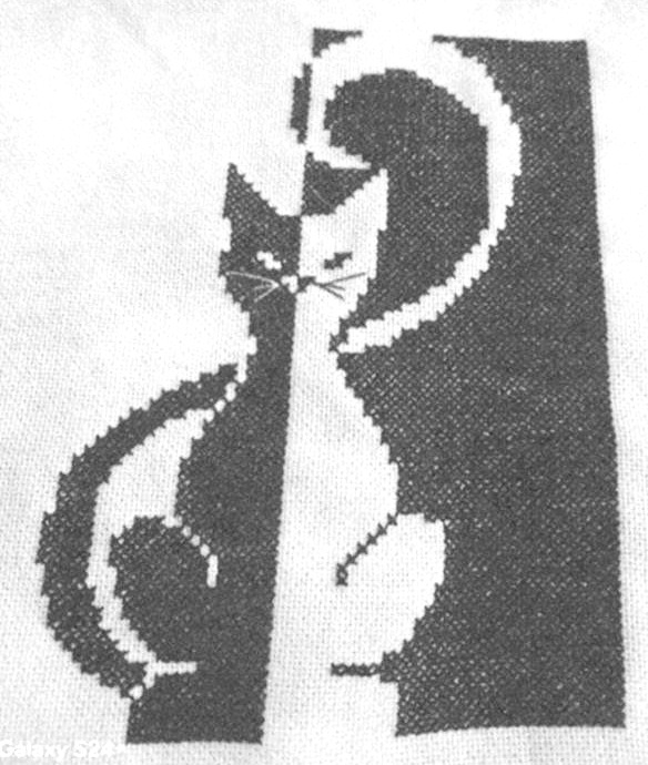 Kitty (view 2)