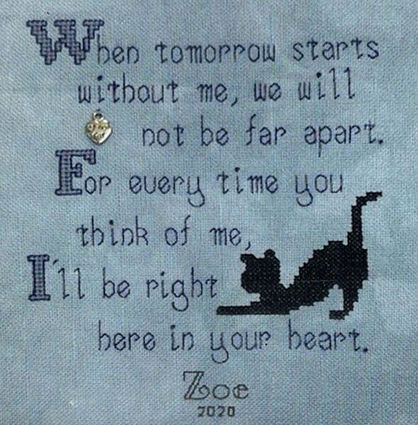 Always In My Heart (Cat)