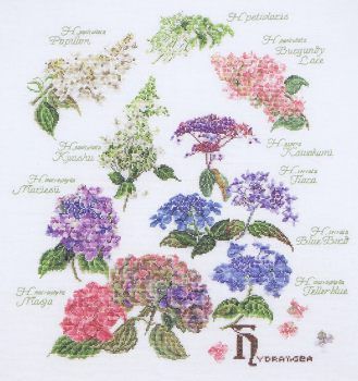 Hydrangea Sampler