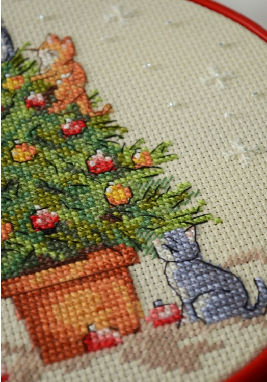 The Naughty Cats (view 2)