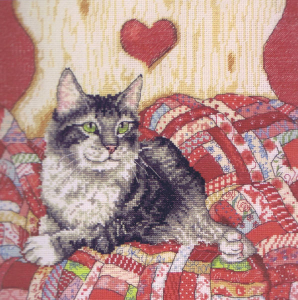 Cat and Heart