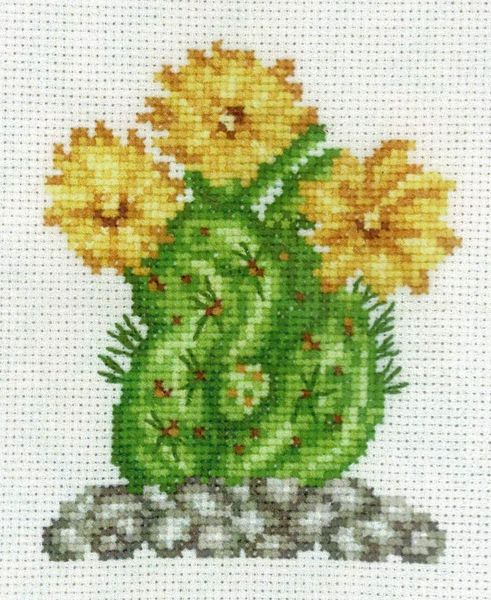 Cactus with Yellow Flowers