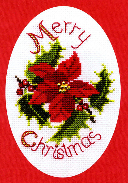Christmas Card - Poinsettia and Holly
