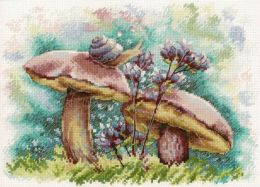 In the Summer Forest
