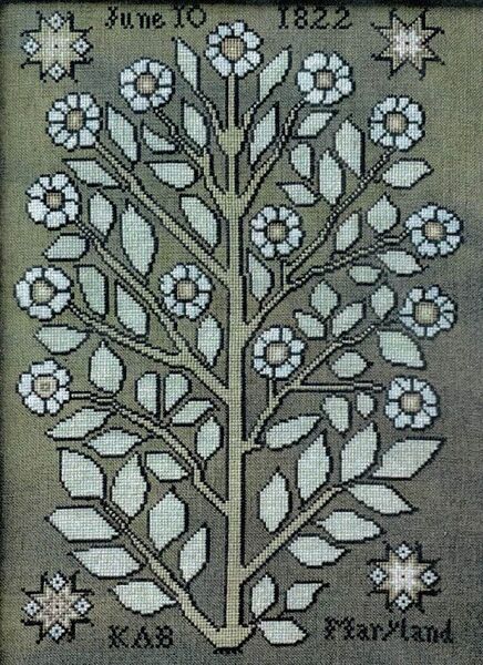 Wildflowers