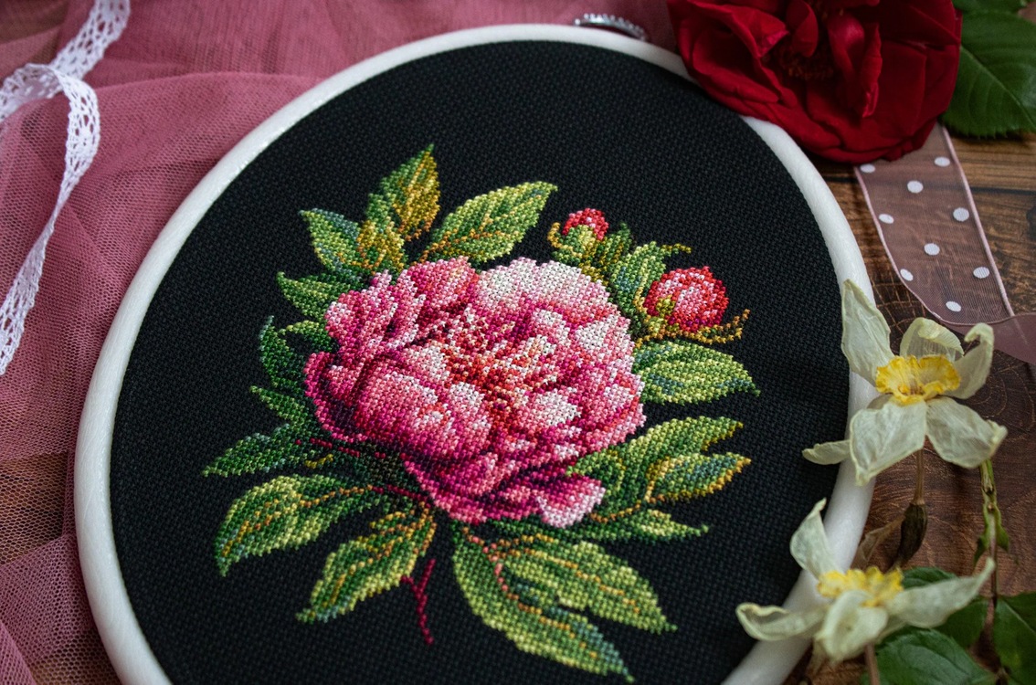 Peter Brand Peony (view 2)