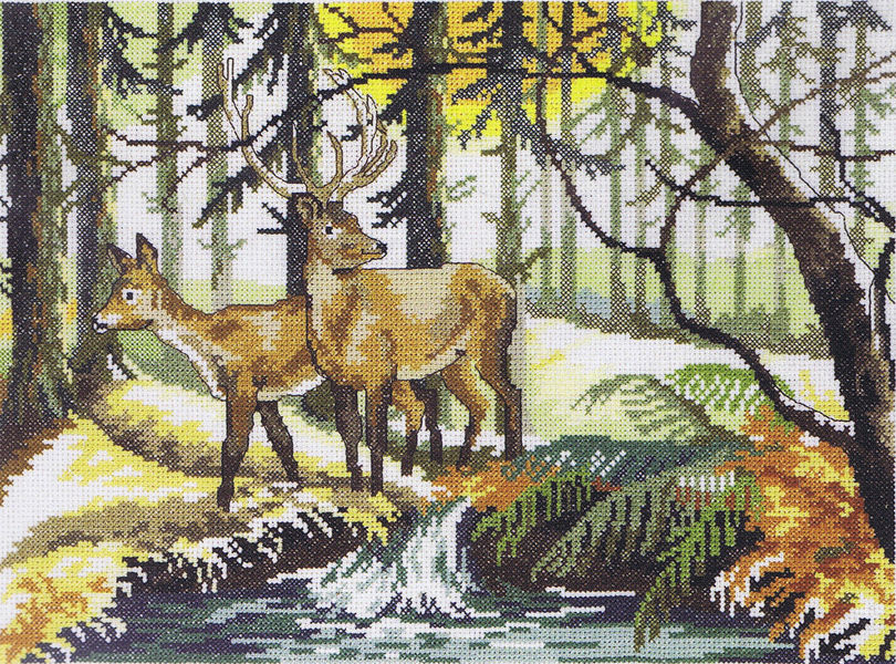 Fallow Deer in a Forest