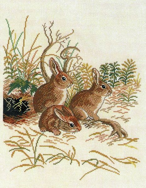 Three Rabbits