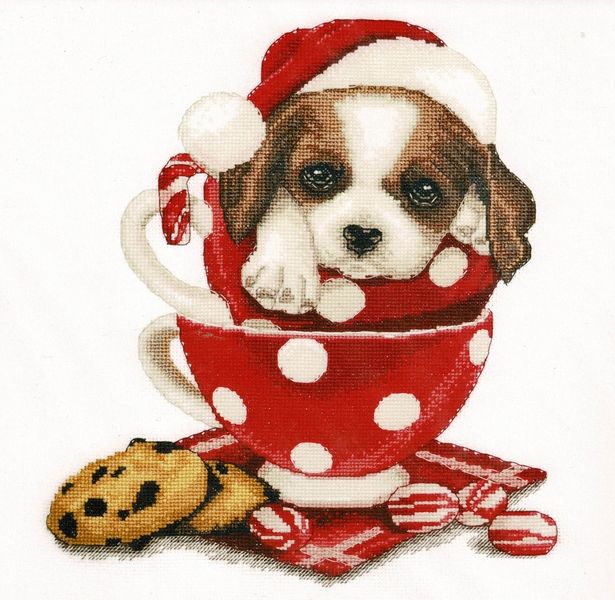 Christmas St. Bernard Dog