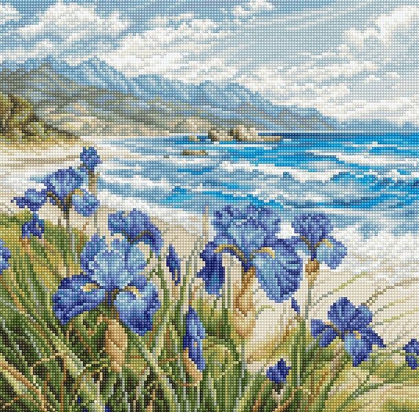 Blue Harmony
