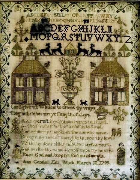 The Ann Goodall Sampler