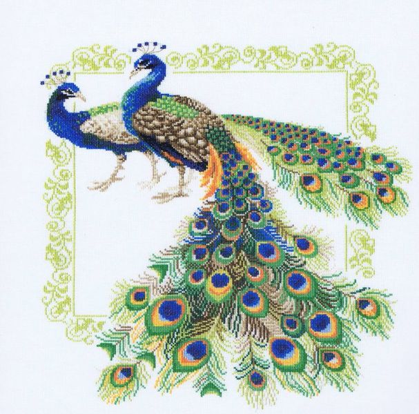 Peacocks