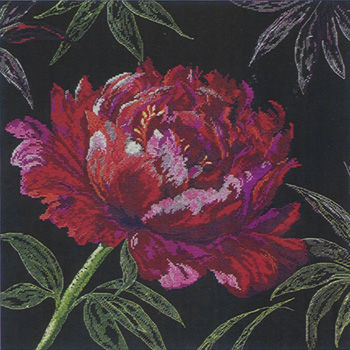 Well Worth Waiting For - Peony