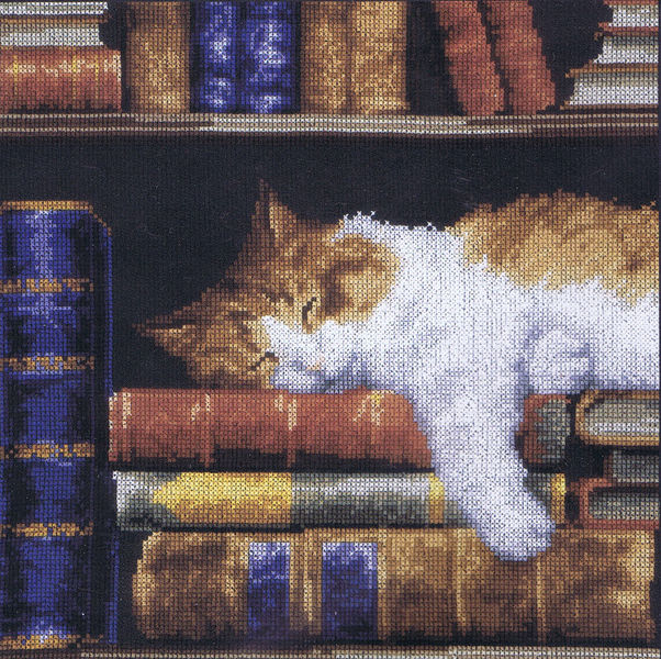 Cat Sleeping on a Bookshelf