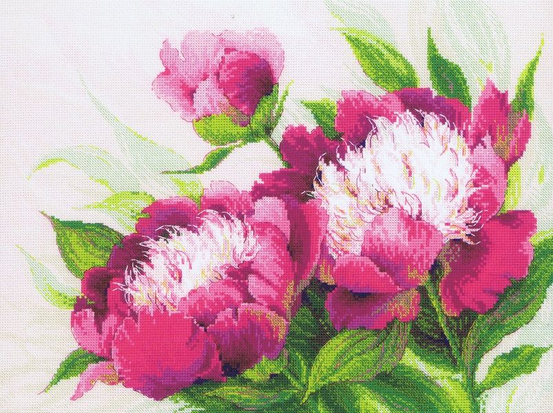 Pink Peonies