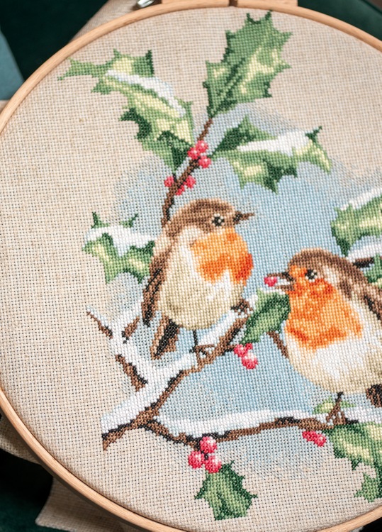 Winter Robins (view 2)