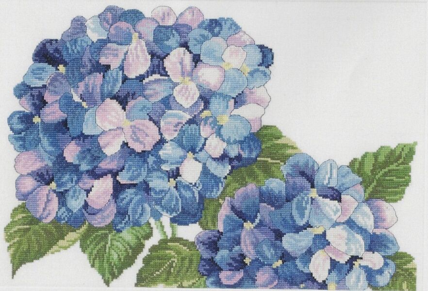 Hydrangeas