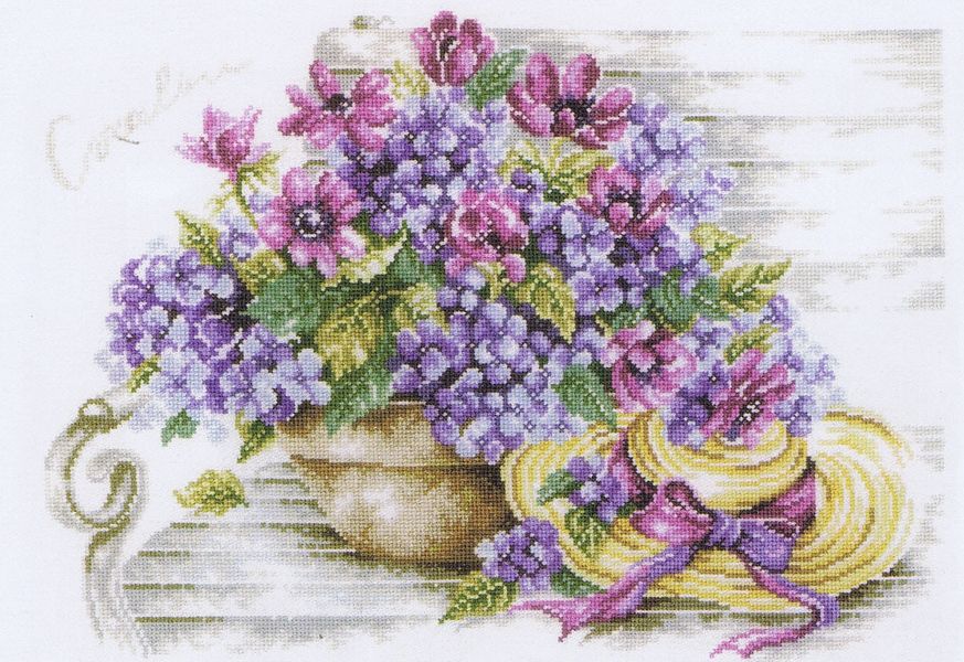 Hydrangeas on a Bench