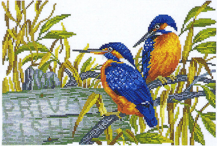 Kingfishers