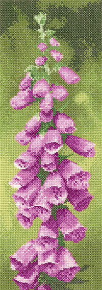 Foxglove Panel