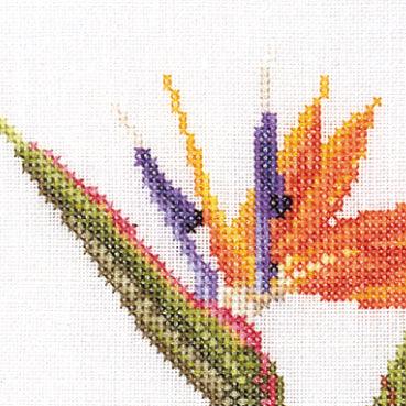 Six Floral Studies (view 2)