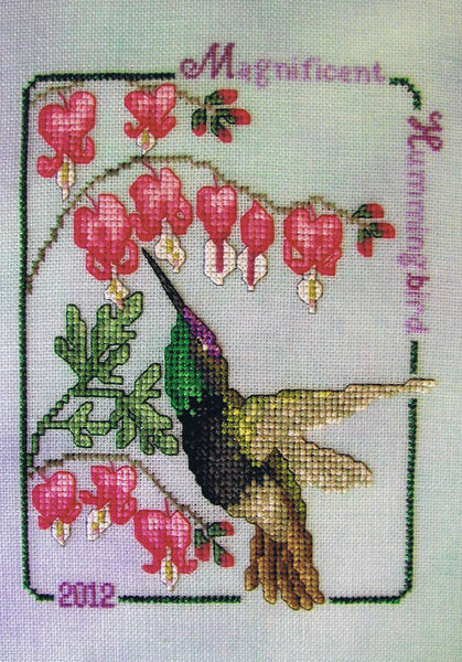 Magnificient Hummingbird