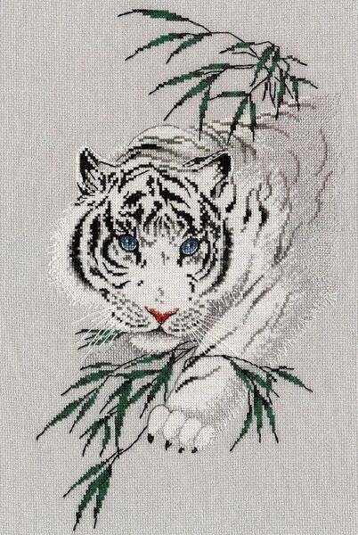 White Tiger