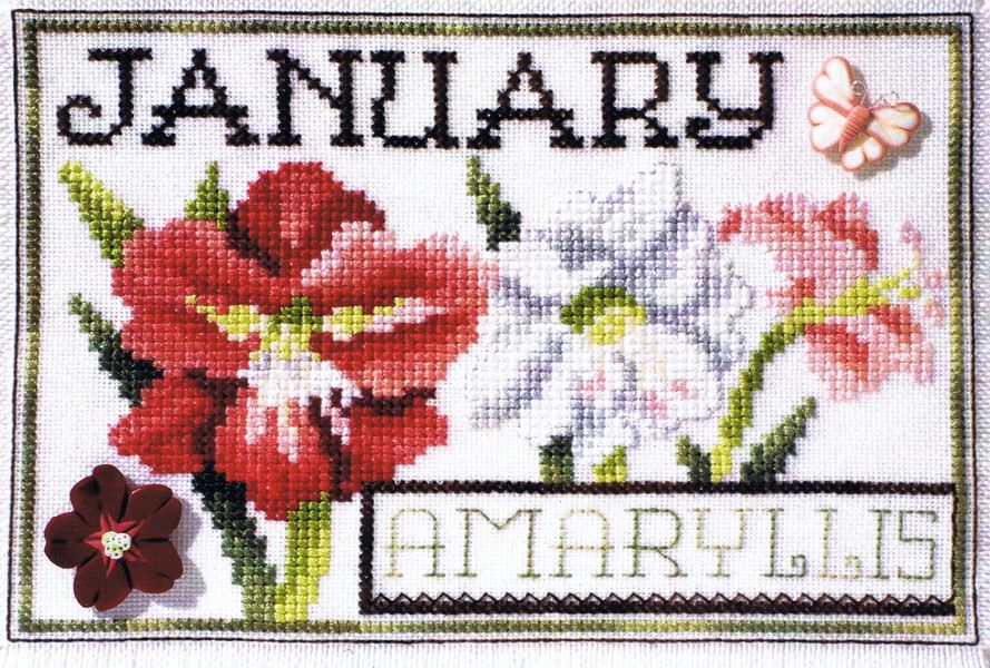 Flowers of the Month - January Amaryllis