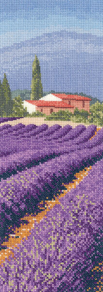 Lavender Fields