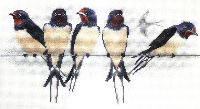 Swallows