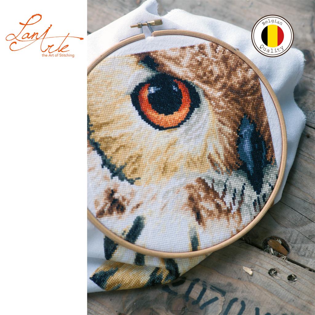 Owl in Close Up (view 2)