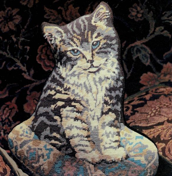 Kitten on a Cushion
