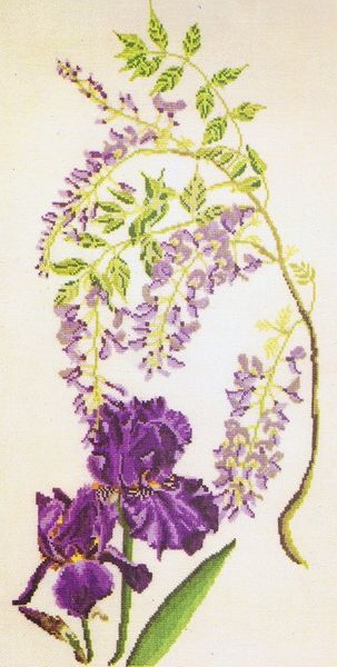 Wisteria and Iris