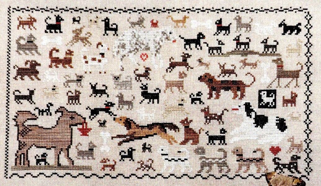 Sampler Dogs