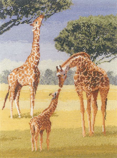 Giraffes