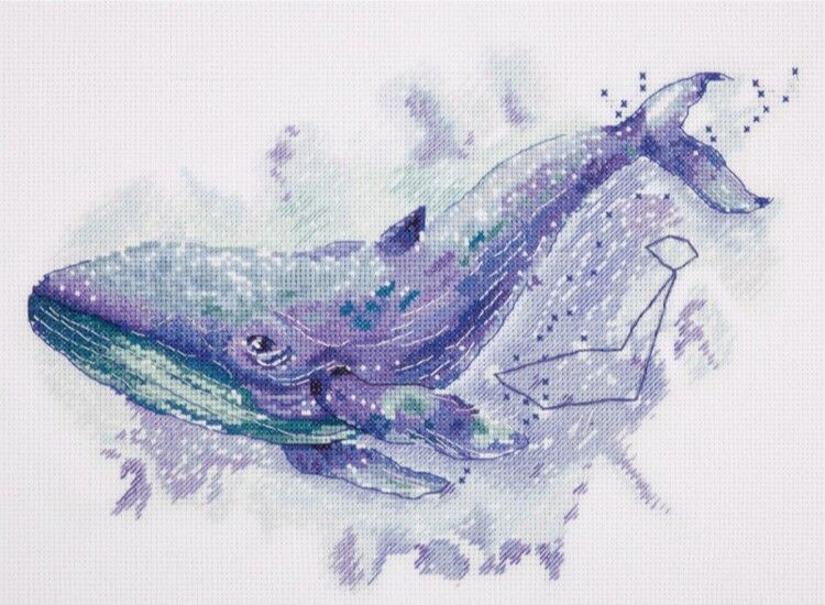 Whale Constellation