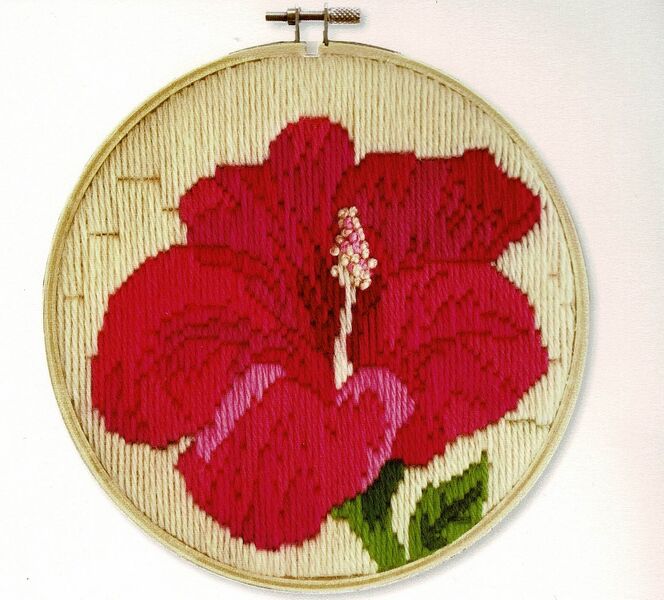 Hibiscus Blush