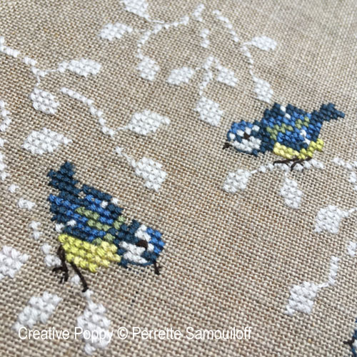 Blue Tits (Chickadees) (view 3)