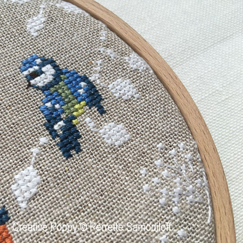 Blue Tits (Chickadees) (view 4)
