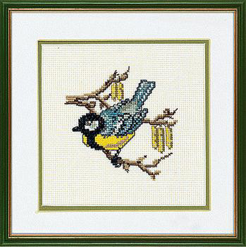 Great Tit on Willow
