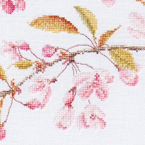Japanese Cherry Blossom (view 3)