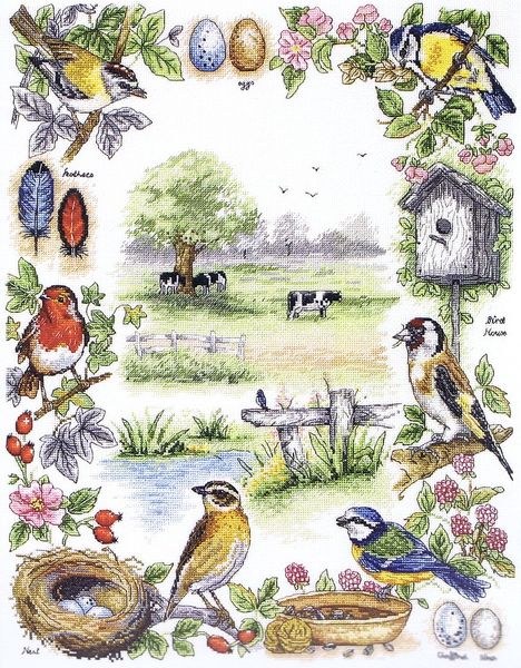 Birds Sampler