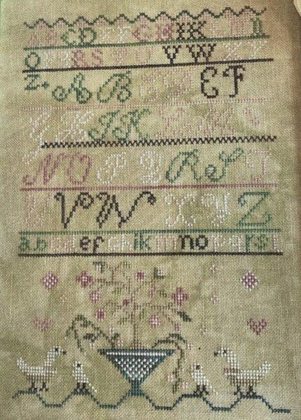 Clarissa's Garden Sampler