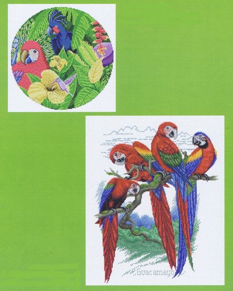 Bird Park & Macaws