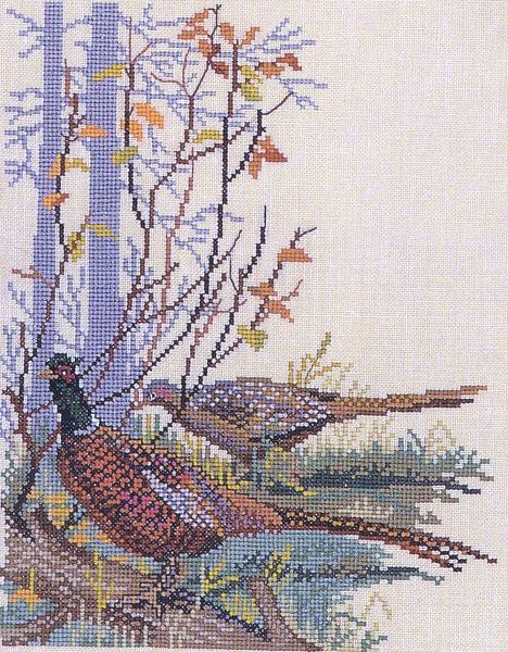 Pheasants in Winter