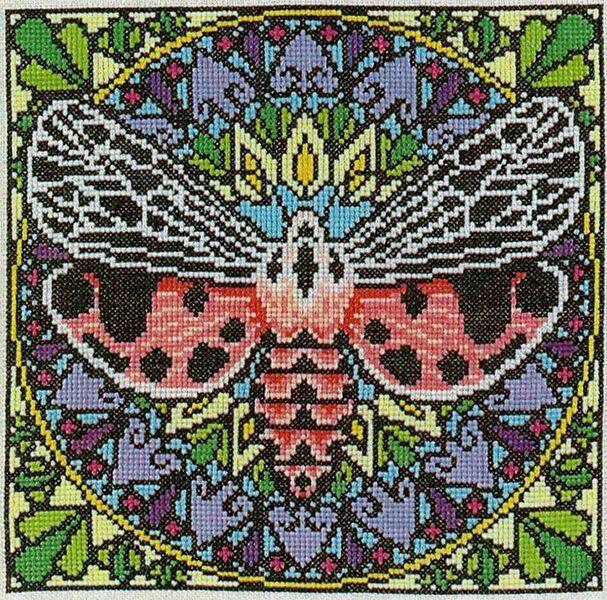 Tiger Moth