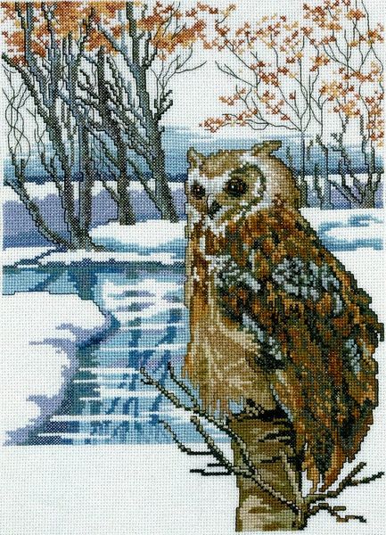 Horned Owl