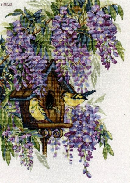 Wisteria