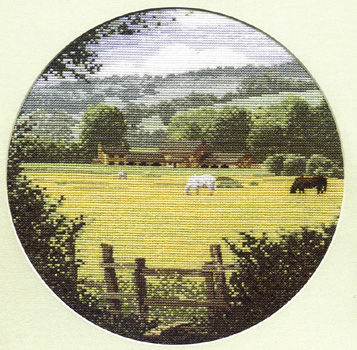 Buttercup Meadow